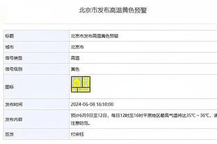 开云客户端截图2